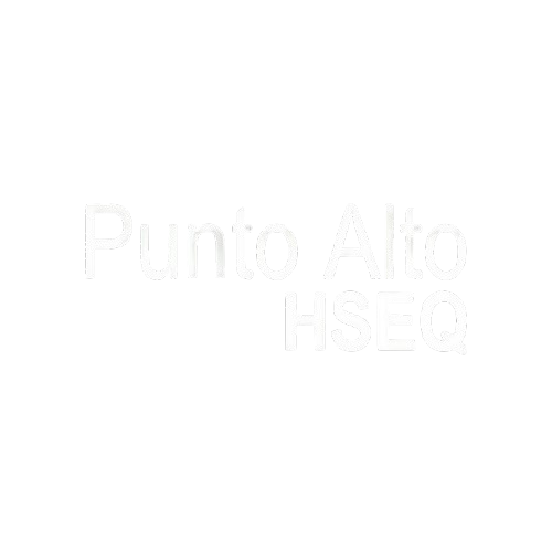 seguridadysalud.com.co