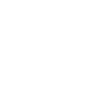 yorkie